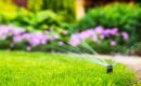 Bewässerungssysteme, die dem Chaos im Garten einen Schritt voraus sind