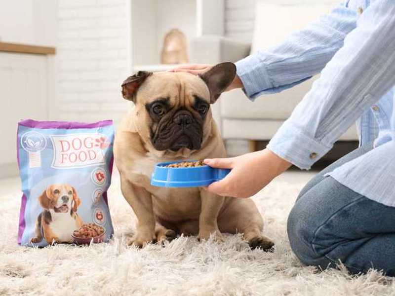 Hundefutter